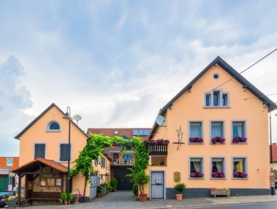 Weingut Hammen Vinothek - Straußwirtschaft - Gästezimmer