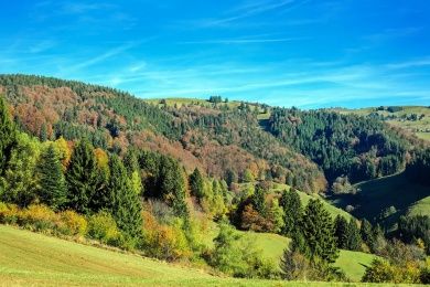 Stäffelsbergturm Dörrenbach, Blick auf den Schwarzwald