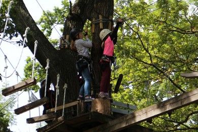 Abenteuer-Kletterwald-Tannenbühl