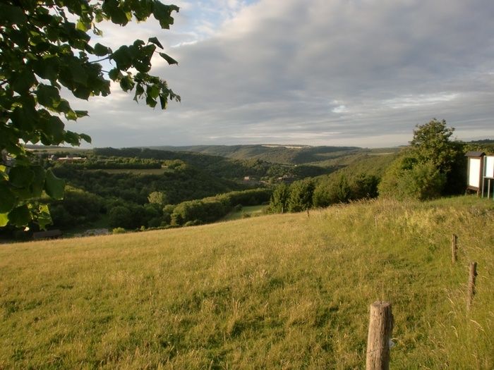 Ruine Schmidtburg