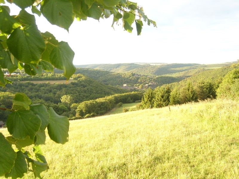 Ruine Schmidtburg