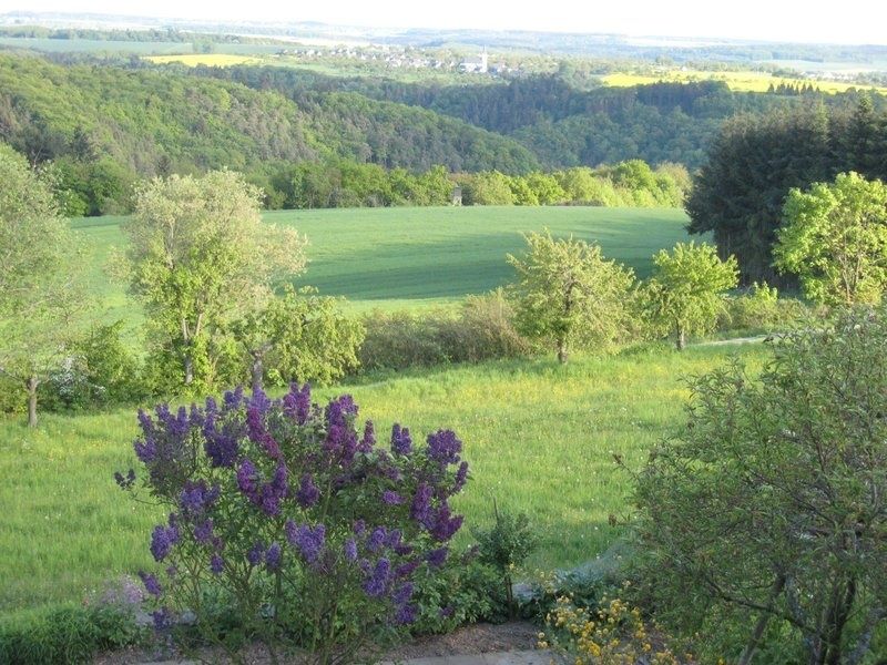 Ausblick vom Garten