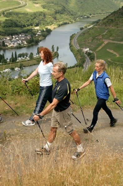 Nordic Walking durch die Weinberge