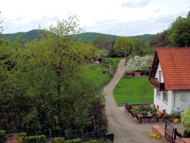 Ferienwohnung Riehm - Pfälzer Wald