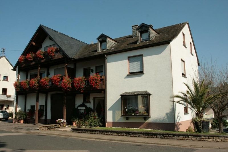 Weingut & Pension Günther Scholtes