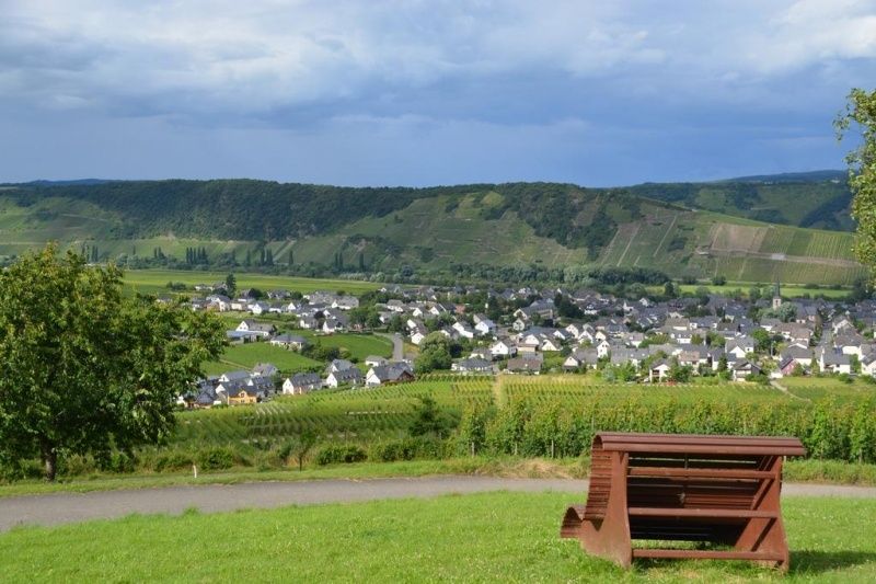 Weingut & Pension Günther Scholtes