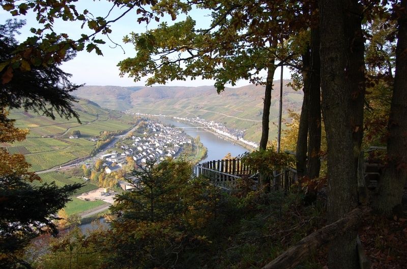 Blick auf Zell & Kaimt