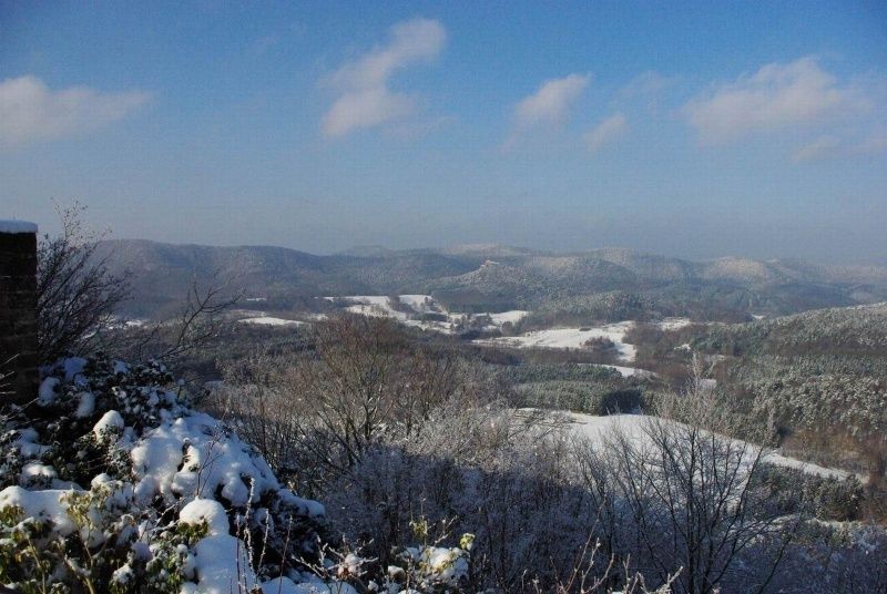 Ausblick Burg Lindelbrunn