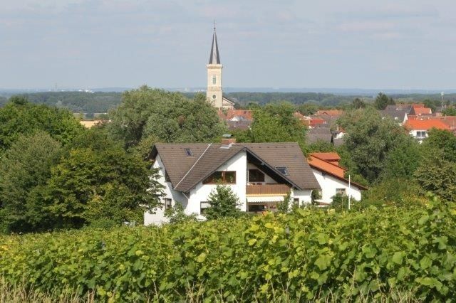 ...zauberhafte Weinberge