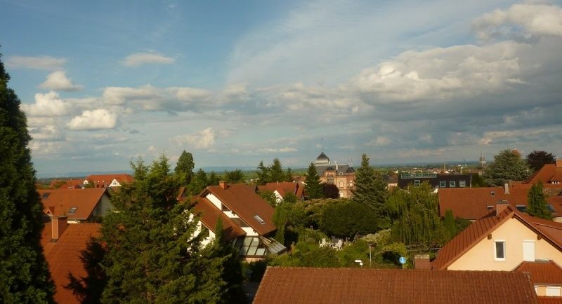 Blick über Maikammer