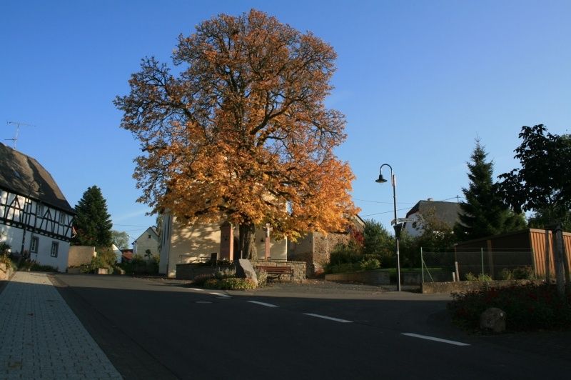 Ferienwohnungen Schlössershof in der Vulkaneifel