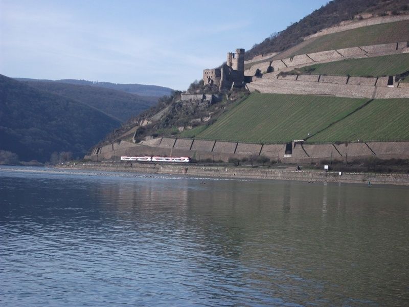 Hotel Zum Neuen Schwan - direkt am Rhein