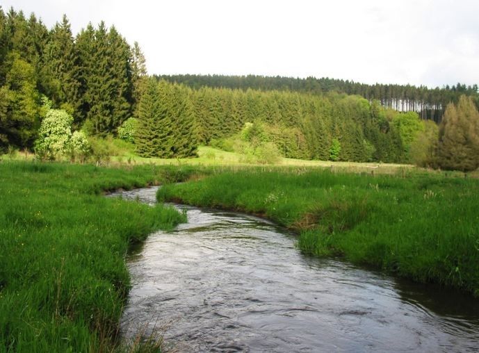 Chalet Eulenstein 