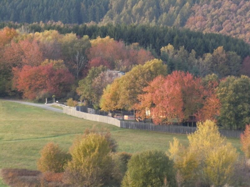 Ferienhaus Adlerhorst-Hunsrück NaturDomizil