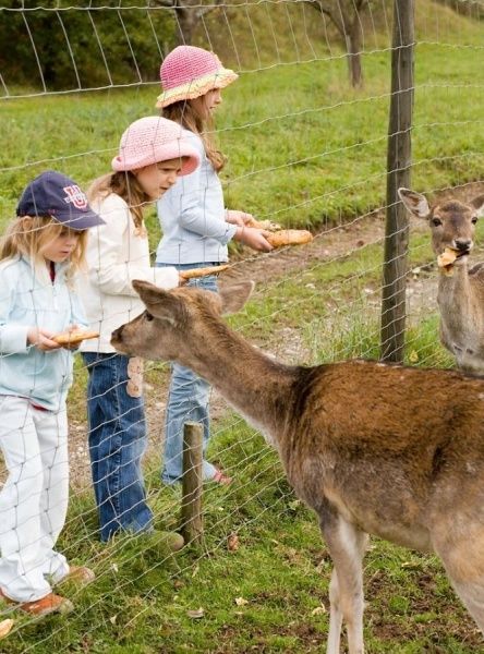 Kinder am Wildgehege