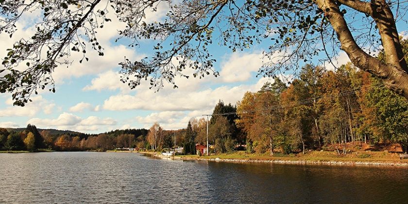 Ferienwohnung Bergstraße - Dahner Felsenland