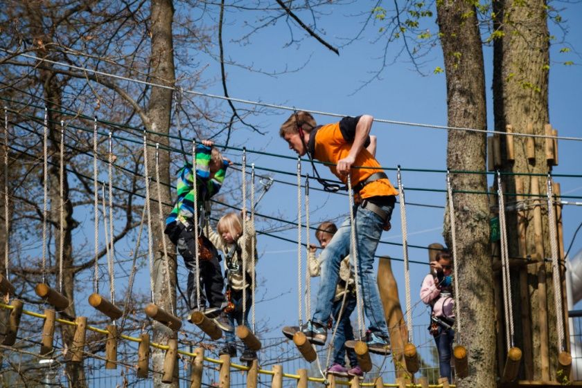 Bildquelle: Waldkletterpark Leiwen an der Mosel