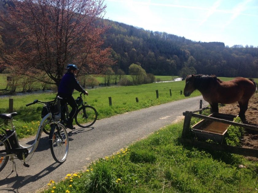 Radwanderweg nahe Bleialf