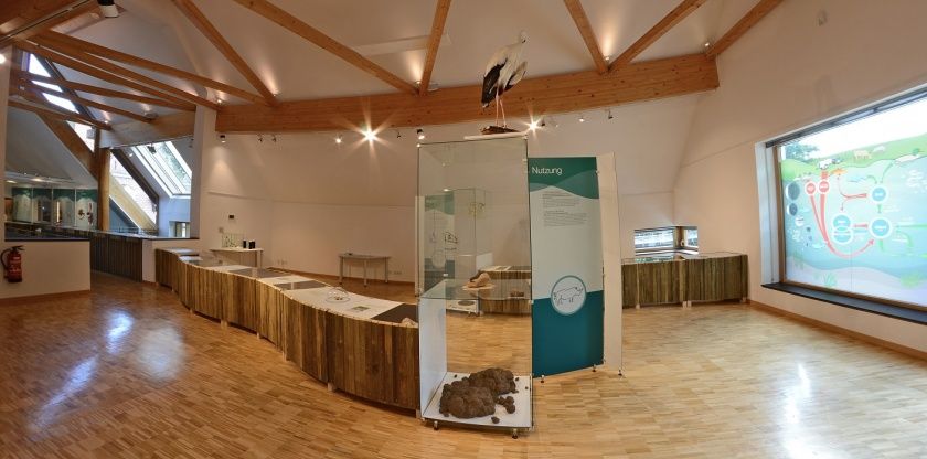 Pfalzmuseum für Naturkunde