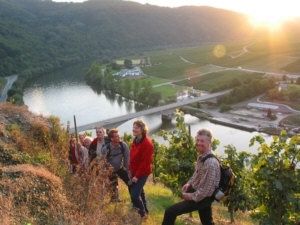 Wein-Erlebnis-Wanderung durch die Zeller Weinberge