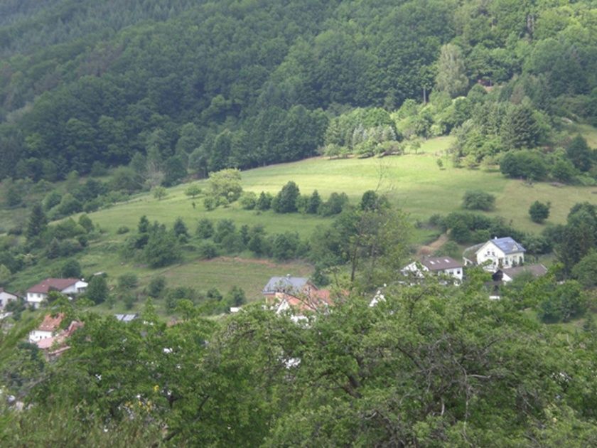 Unser herrlicher Pfälzerwald