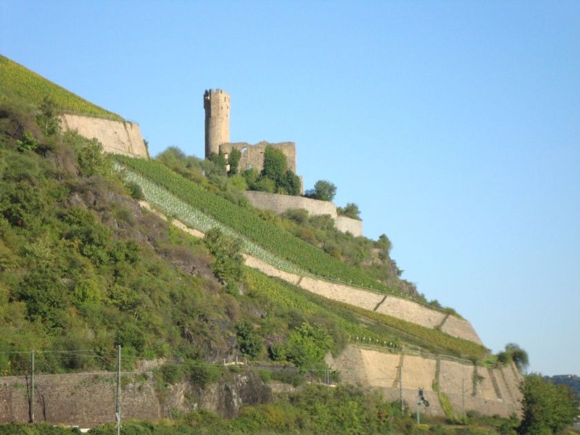 Ruine Ehrenfels bei Rüdesheim am Rhein