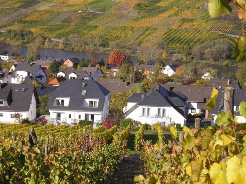 Zwei Häuser des Feriendomizil und Weingut Roussel