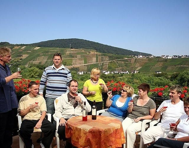 Ferienweingut Boujong & Pension Moselblick