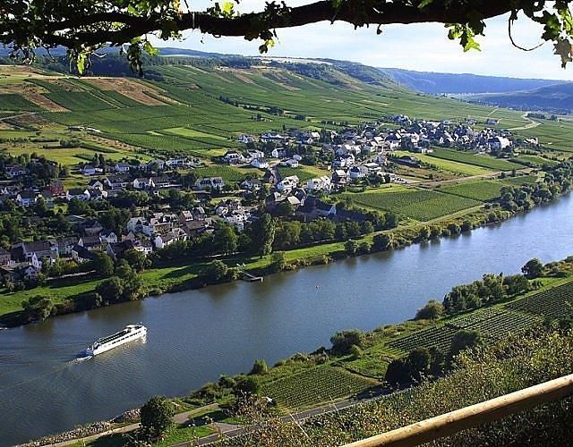 Ferienweingut Boujong & Pension Moselblick