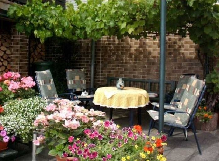 Im Schatten des Weinlaubs auf der Hofterrasse entspannen