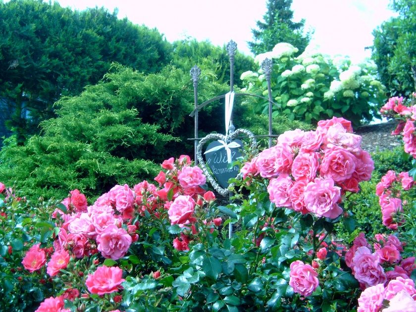 Ferienwohnung Kerner im Gästehaus Heidi an der Mosel