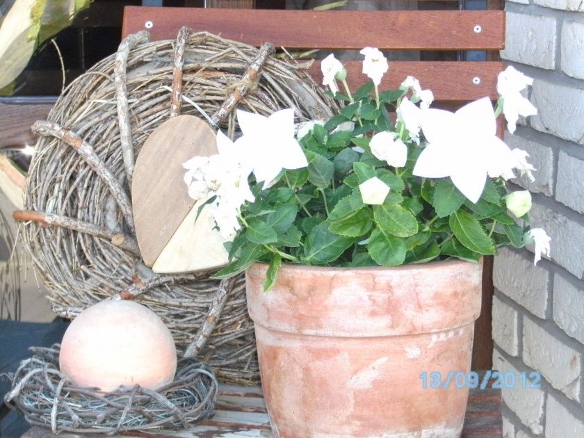 Ferienwohnung Dornfelder im Gästehaus Heidi an der Mosel