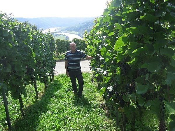 Weingut Paul Barthen - Ferienwohnung und Gästezimmer