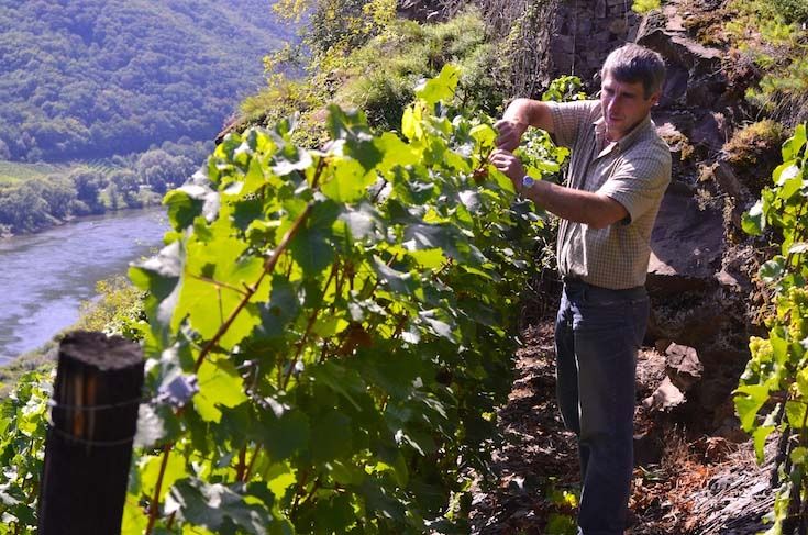 Ferienweingut Otmar Göbel in Ernst an der Mosel