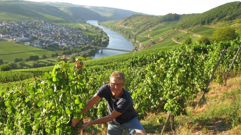 Weingut-Gästehaus Clüsserath