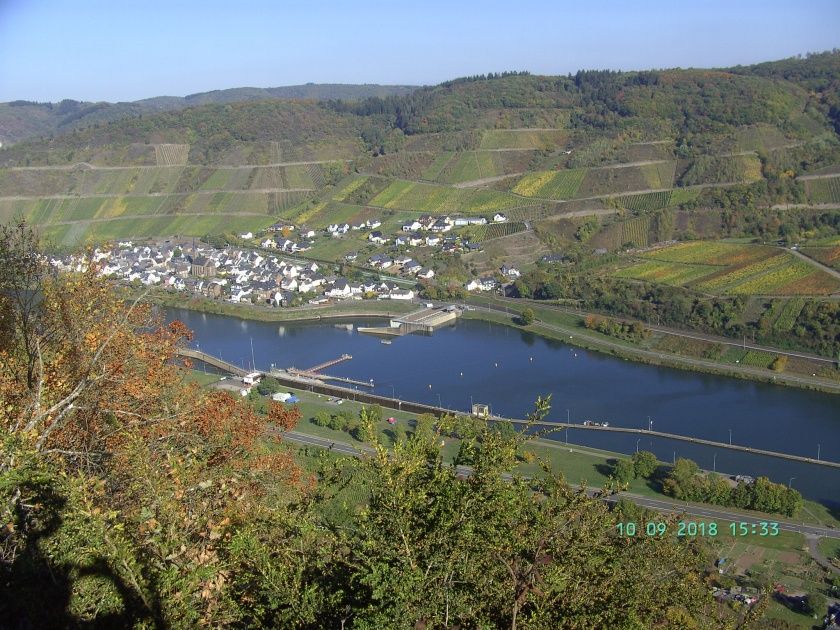 Ferienwohnung Moselblick (Mittelmosel)