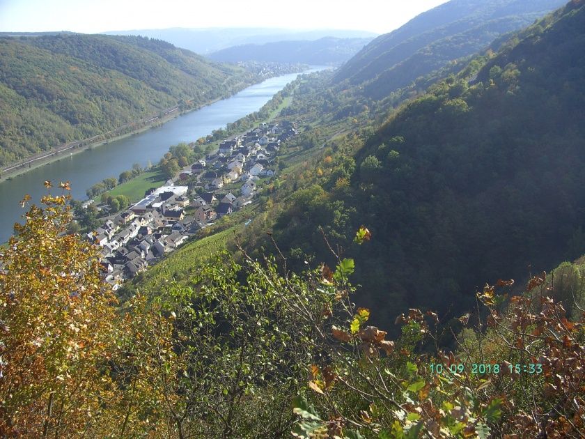 Ferienwohnung Moselblick (Mittelmosel)