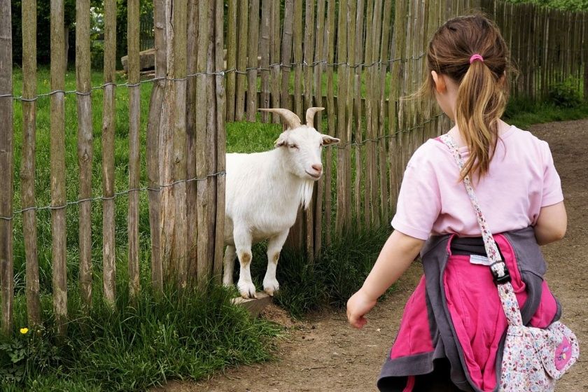 Tierpark Sababurg