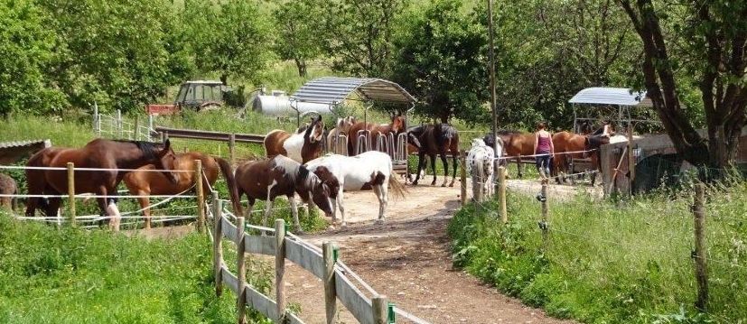  River Ranch, Urlaub für Erwachsene & Jugendliche ab 10 Jahre.