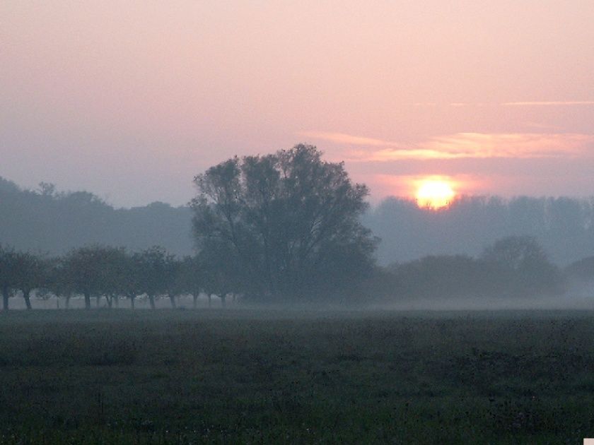 Naturschutzgebiet Kühkopf-Knoblochsaue