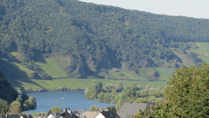 Ausblick aus Fewo Glockenblume Landhaus Mosel