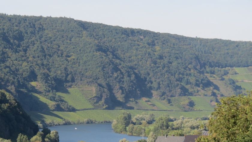 Landhaus Mosel Panoramablick zur Mosel