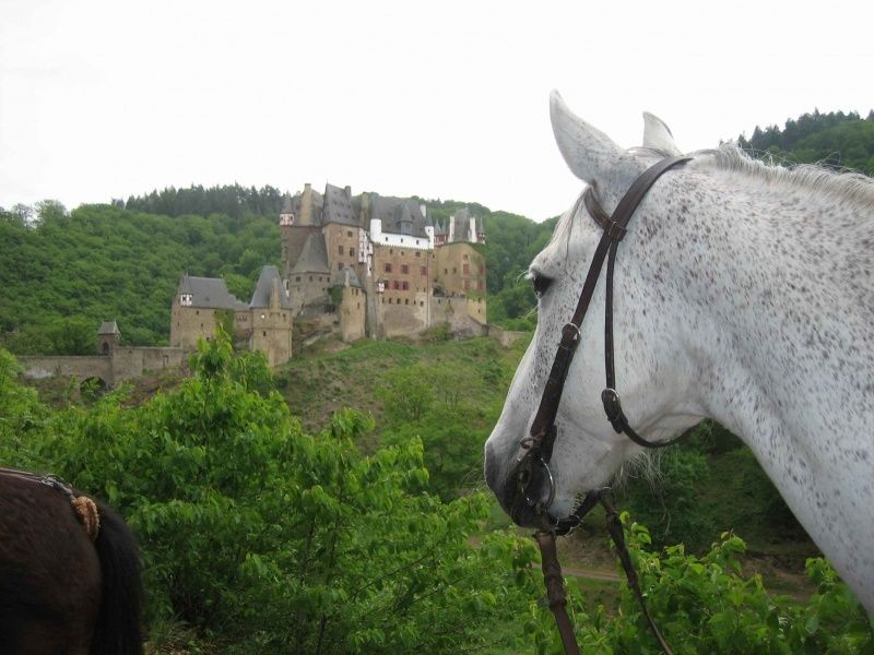 Burg Eltz