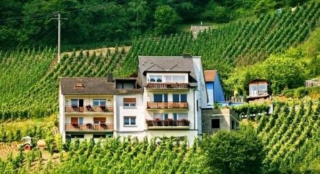 Genießerurlaub an der Mosel: Kosten Sie in unserem Weinkeller regionale Weine