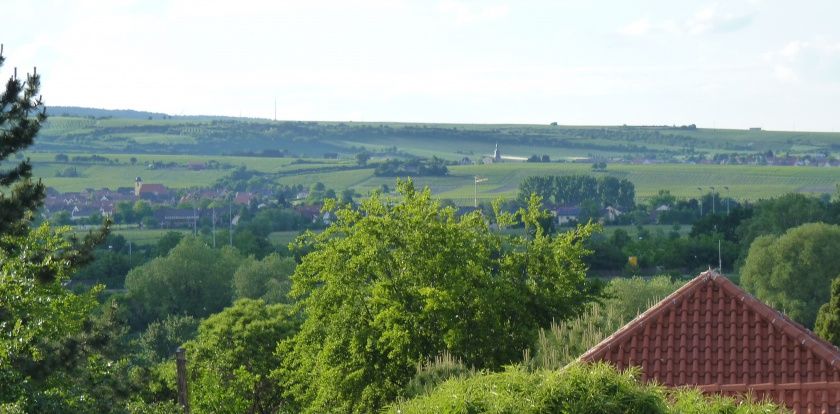 Blick auf die Weinberge