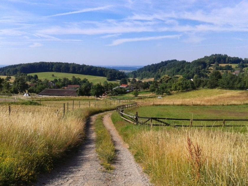 Ferienwohnungen am Neckarsteig