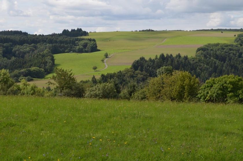 Campingplatz Drei Spatzen