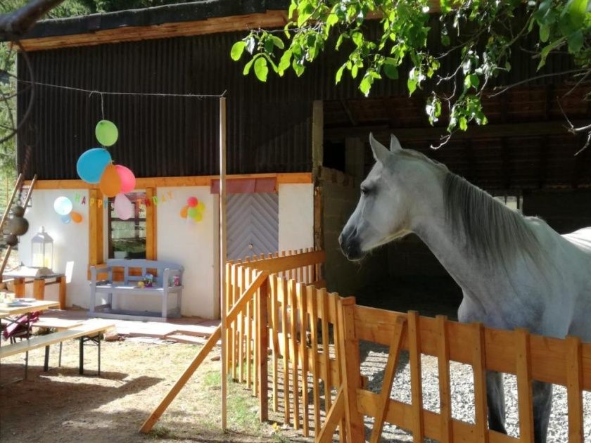 Erlebnisurlaub auf dem Langwieserhof