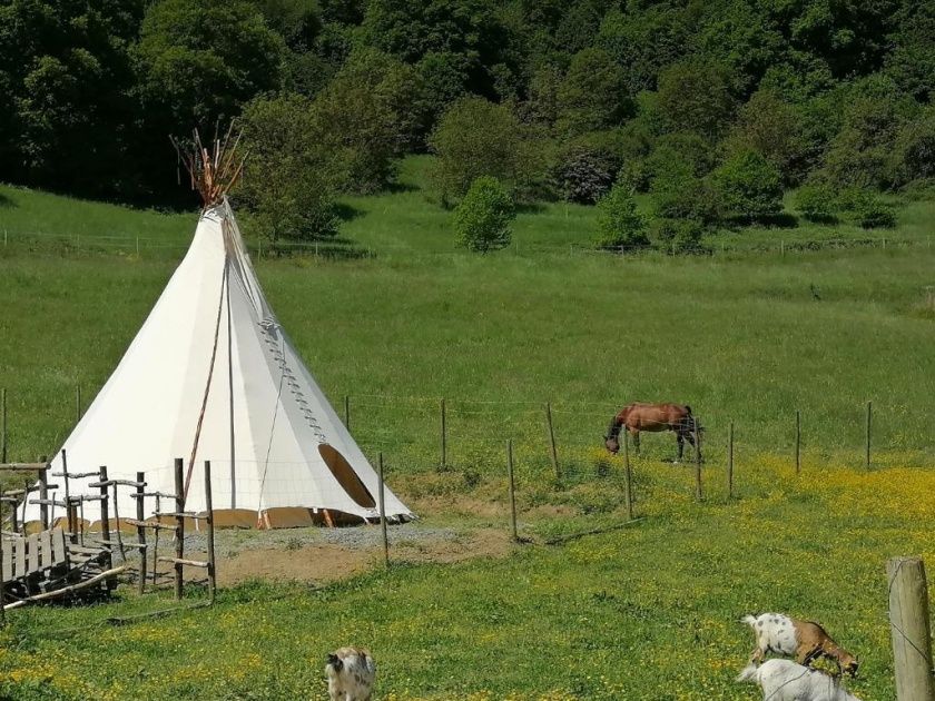 Erlebnisurlaub auf dem Langwieserhof