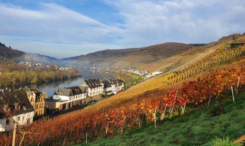 Herbstzeit in Zell Mosel